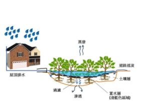 技術(shù)開發(fā)的全景透析 從概念到實踐