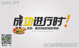 經(jīng)銷商成功營(yíng)銷的三個(gè)標(biāo)準(zhǔn)與落地實(shí)踐